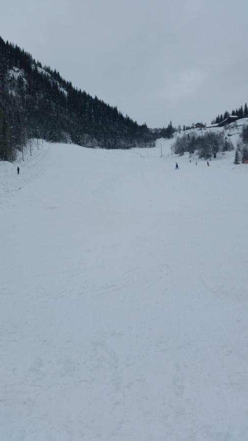Leilighet I Amotsdal Exterior foto