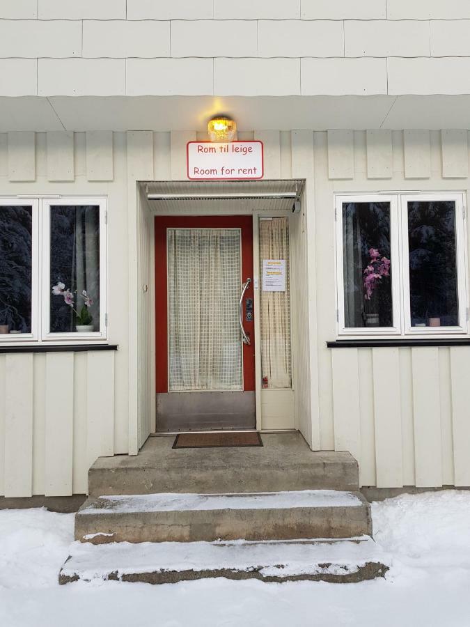 Leilighet I Amotsdal Exterior foto