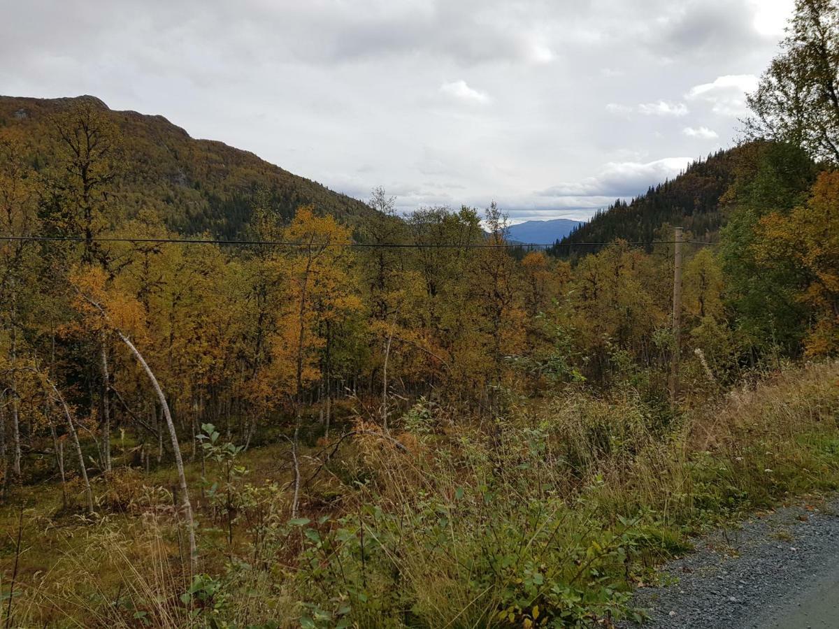 Leilighet I Amotsdal Exterior foto